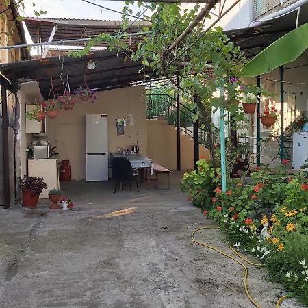Na Shapsug Guest House ガグラ エクステリア 写真