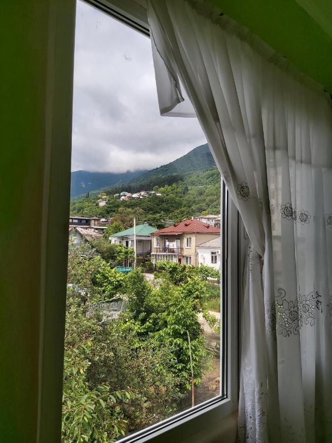 Na Shapsug Guest House ガグラ エクステリア 写真