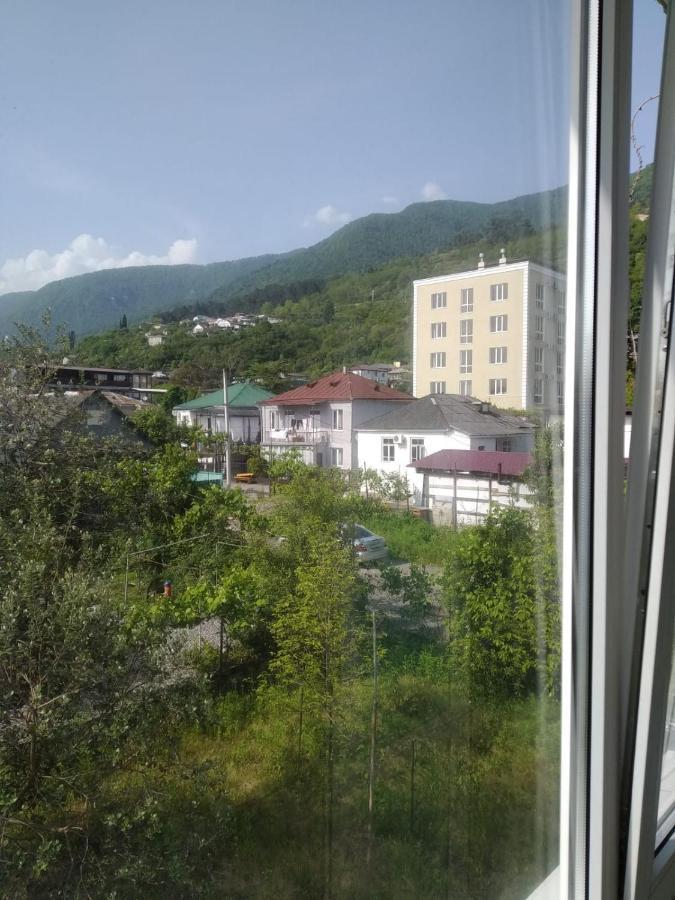 Na Shapsug Guest House ガグラ エクステリア 写真