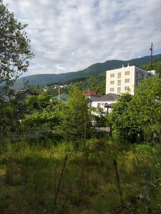 Na Shapsug Guest House ガグラ エクステリア 写真