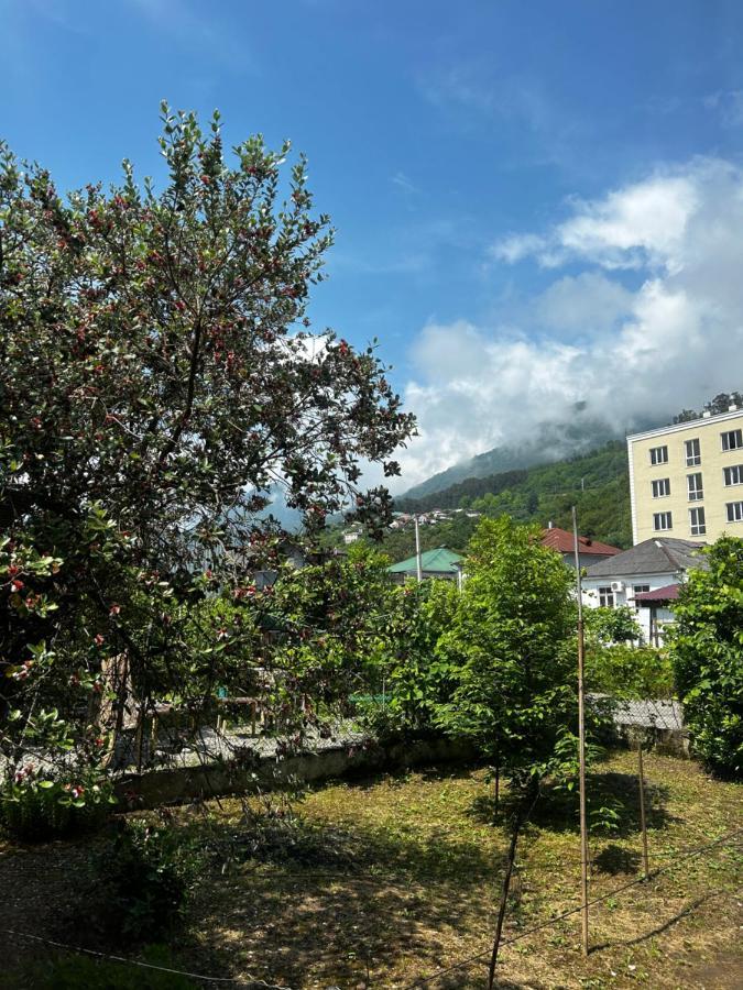 Na Shapsug Guest House ガグラ エクステリア 写真