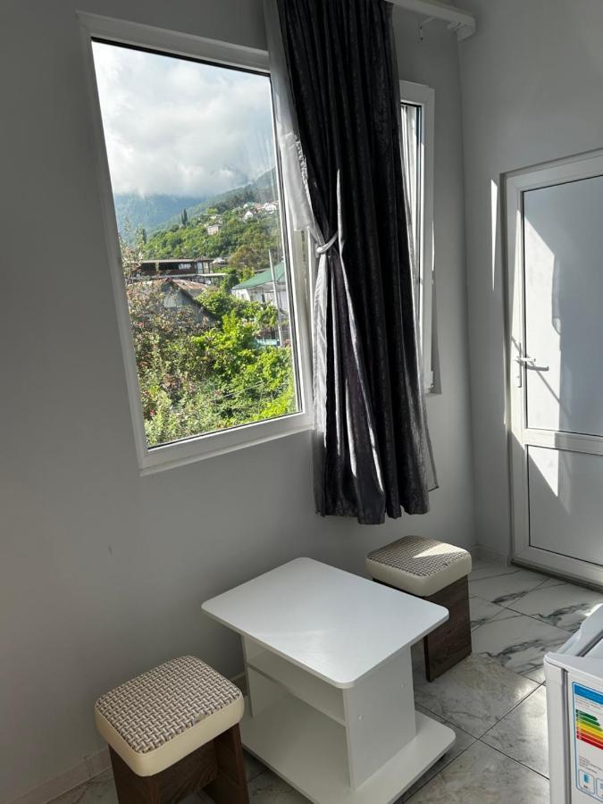 Na Shapsug Guest House ガグラ エクステリア 写真