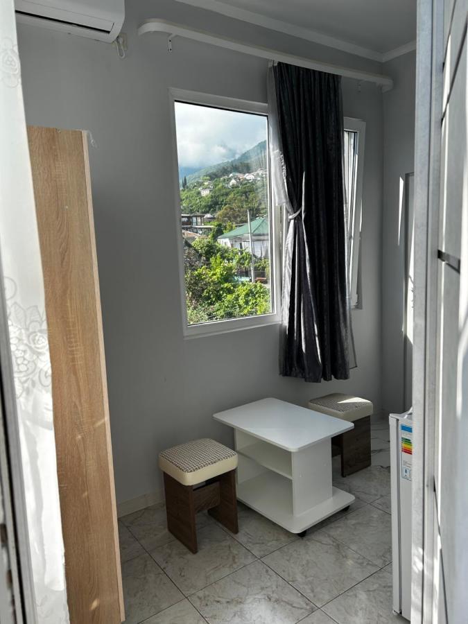Na Shapsug Guest House ガグラ エクステリア 写真